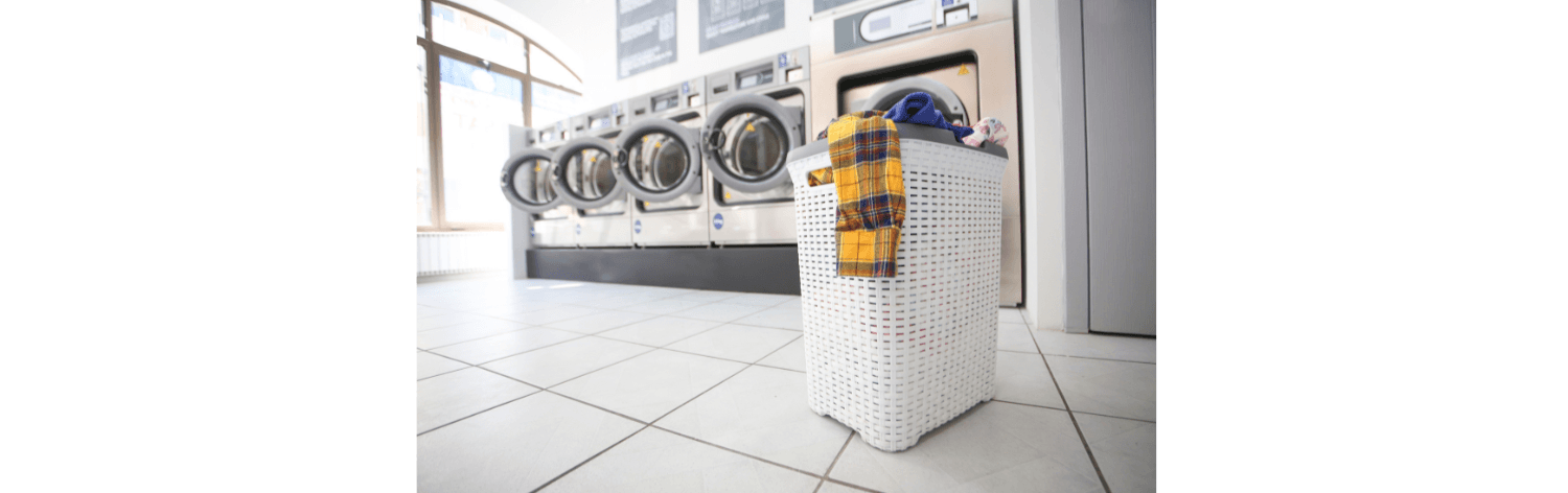 Professional Laundry Management